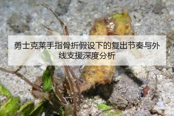 勇士克莱手指骨折假设下的复出节奏与外线支援深度分析
